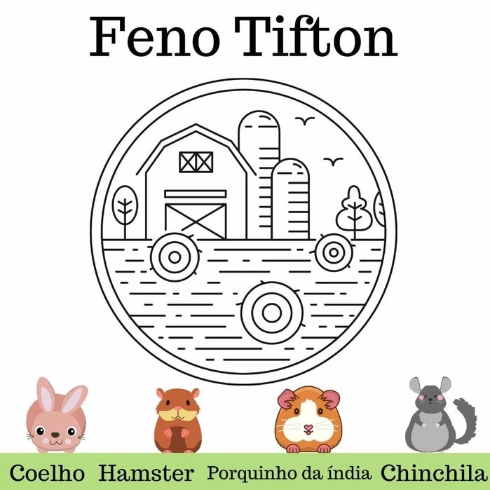 Feno Tifton 1kg para coelho, hamster e porquinho da Índia